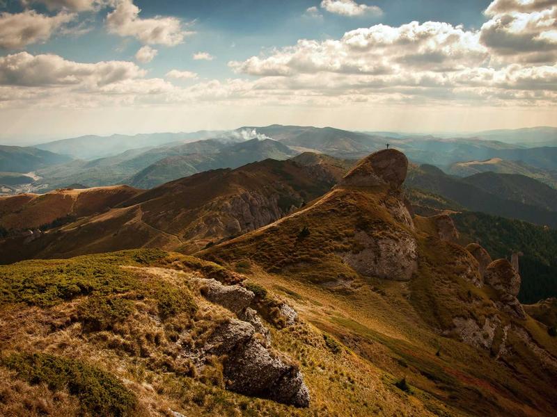 野兽派狂想<br>dxiixch.cn 马蒂斯剪纸